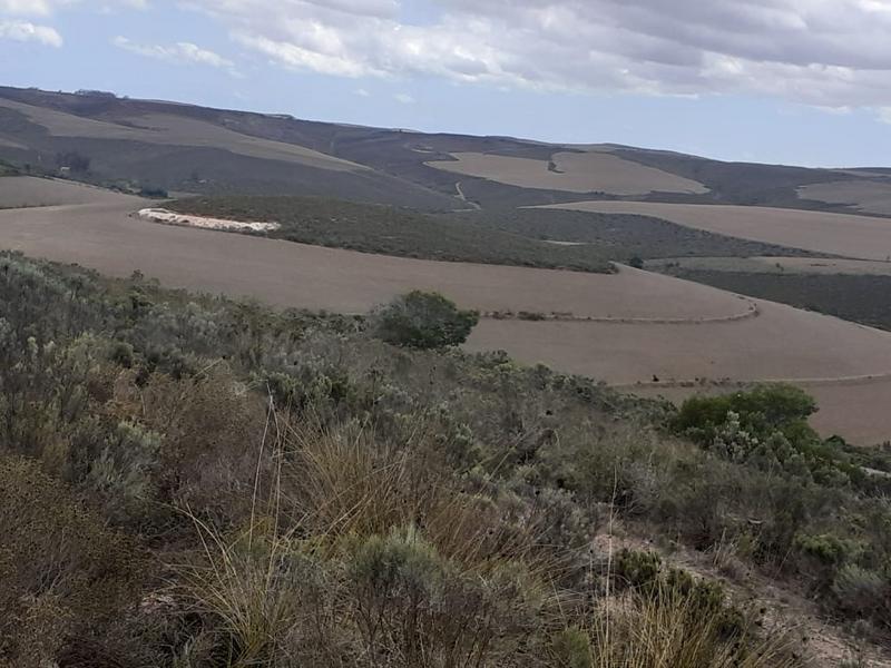 0 Bedroom Property for Sale in Albertinia Western Cape